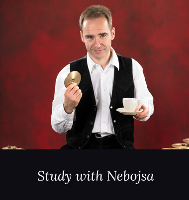 Bachelor & Master studies with Nebojsa in Austria or Serbia